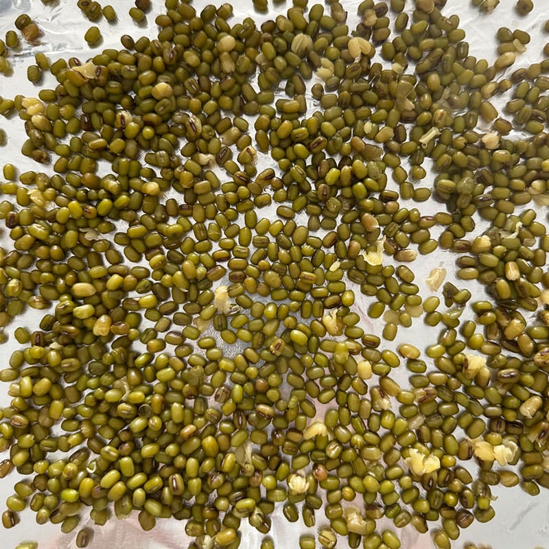 cooked mung beans for mung bean patties